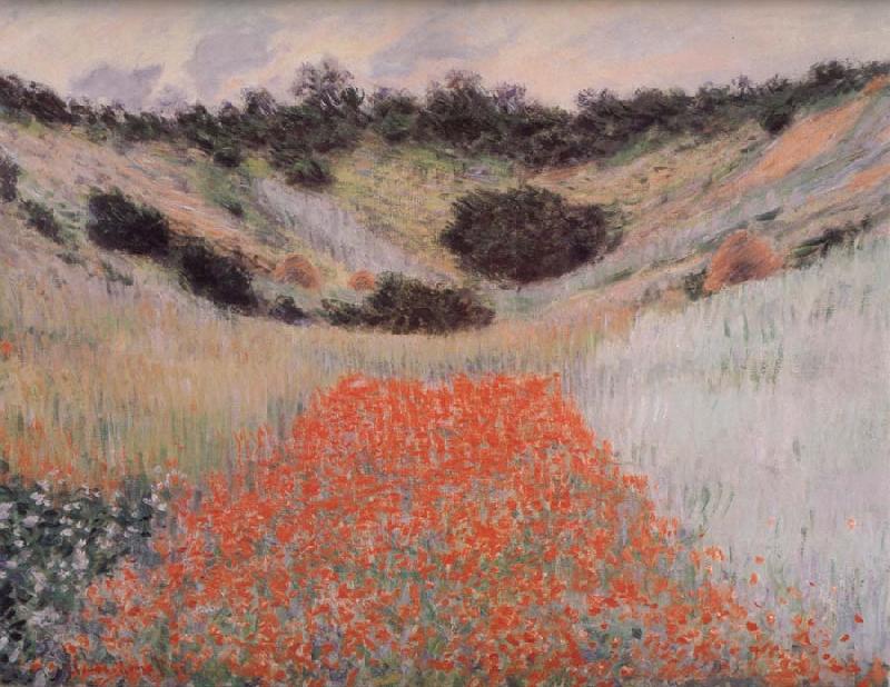 Claude Monet Poppy Field in a Hollow Near Giverny oil painting picture
